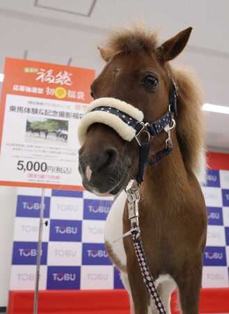 午年に「うまい」体験を＝来年の福袋―百貨店【時事通信速報】