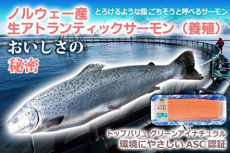 トップバリュ グリーンアイナチュラル　ノルウェー産　生アトランティックサーモン（養殖）