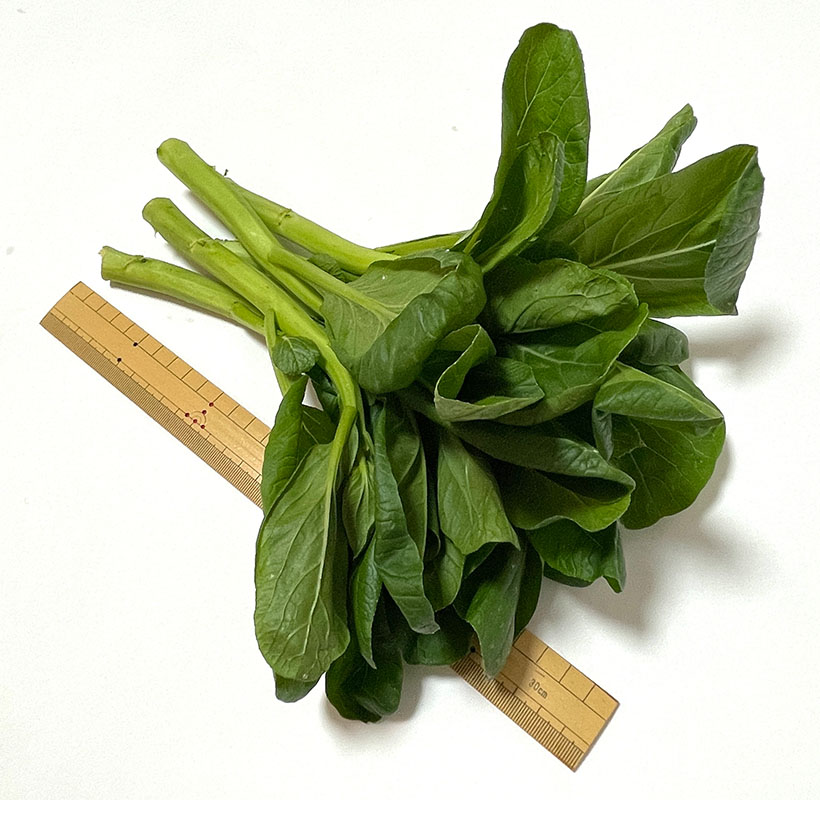 青果卸の旬奨野菜：11月　つま正代表取締役社長・小山正和氏