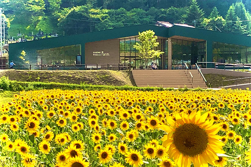 食品安全安心・環境貢献賞特集：カゴメ／カゴメ野菜生活ファーム　食を通じ魅力や…