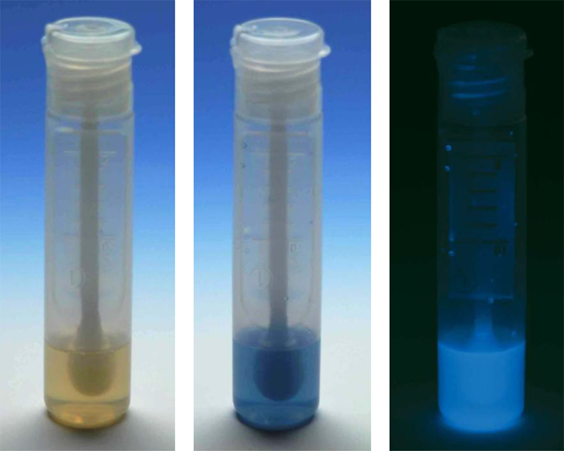 特集・大腸菌・大腸菌群の制御法：技術FOCUS1＝エルメックス