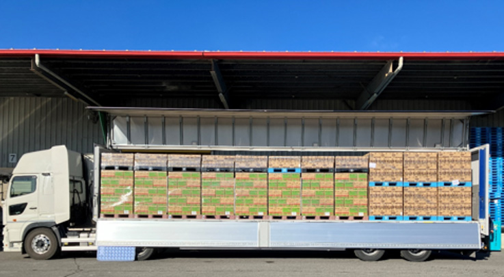 伊藤園・日清シスコ、重軽混載の共同輸送開始