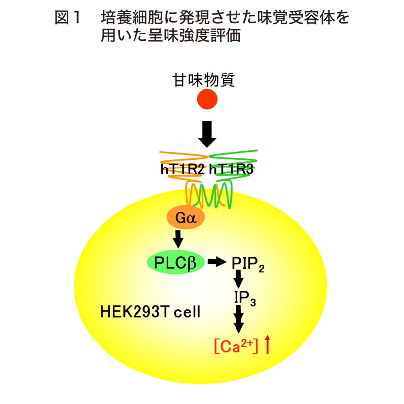 食品ニューテクノロジー研究会講演：東京大学大学院・三坂巧准教授