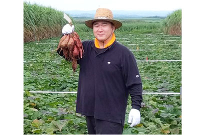 明治フードマテリア、「フードバンクかごしま」にサツマイモ1800kg寄贈