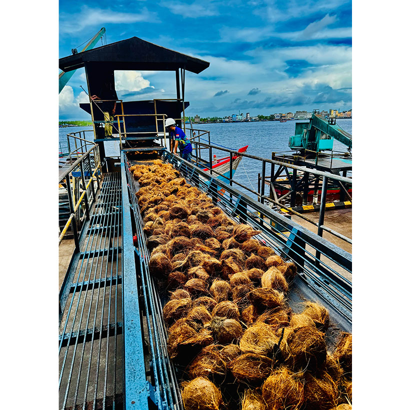 代替食・プラントベースフード特集：明治フードマテリア　ココナツミルク訴求