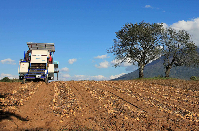 ◆北海道流通特集：新たな価値と機能づくりを　食と観光・リゾート、ビジネス化活…