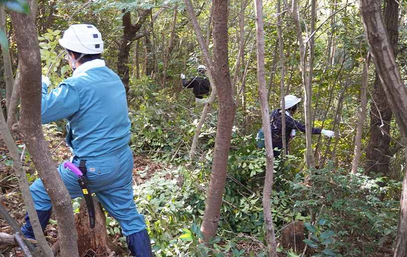 ニッスイ、地域連携し森林保全　姫路・八王子で社員ら
