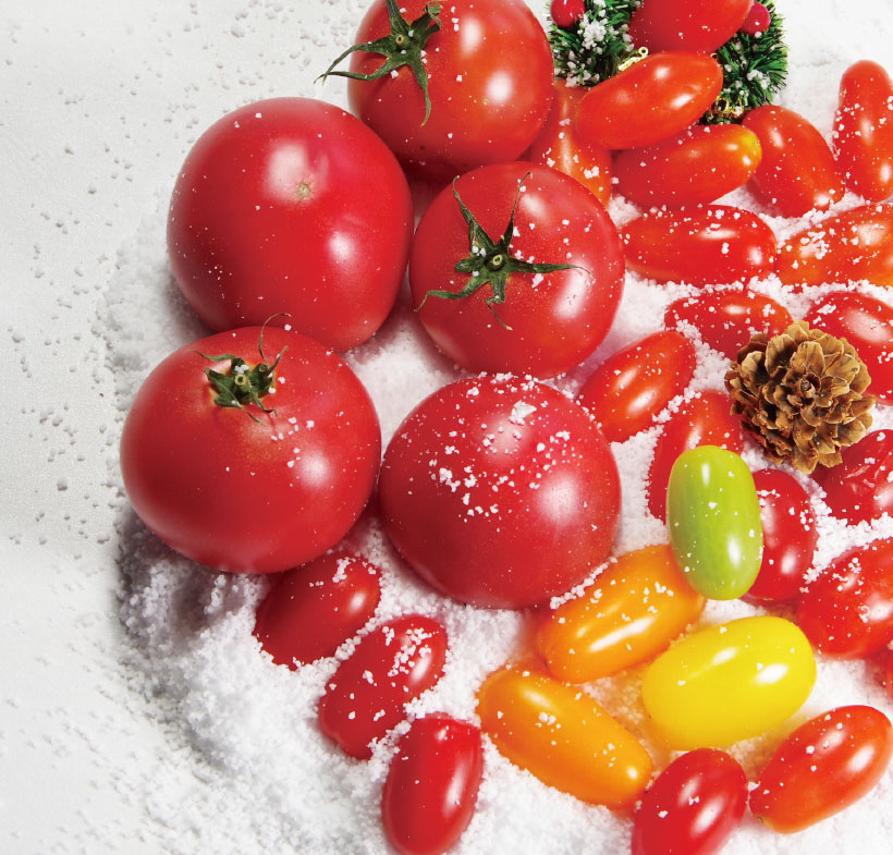 トマト　フルーツトマトでメリークリスマス