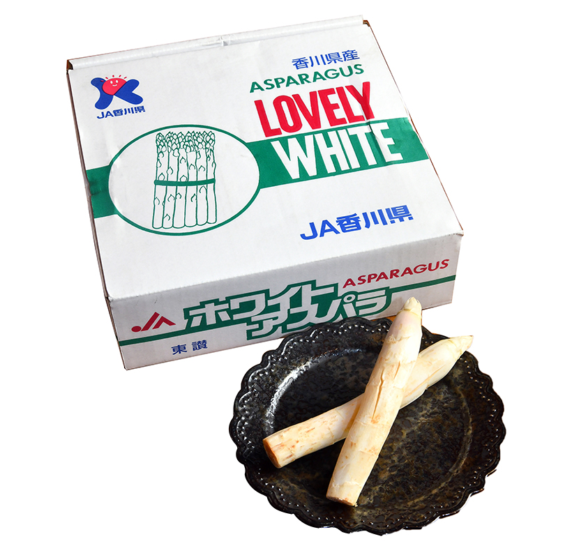 愛用食材と調理技術：「ホワイトアスパラガス」（香川県産）　故郷の食材で季節の…