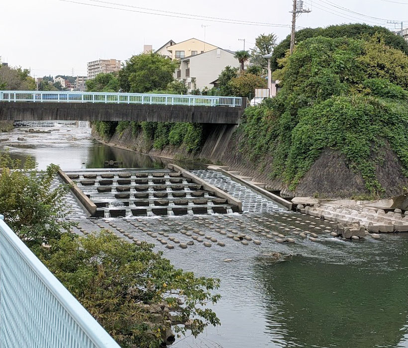 水産資源の持続可能な活用（8）水産資源の強化策