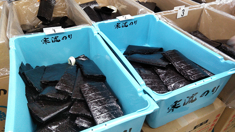 海苔初の入札会　宮城県漁協1841万枚出品