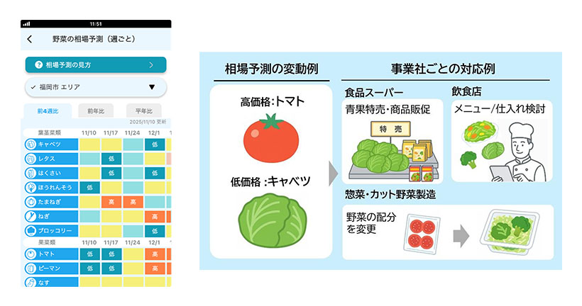 日本気象協会、ビジネス向けアプリに新機能　「野菜の相場予測」リリース