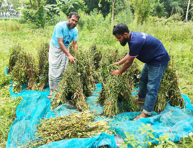 サステナビリティ　未来への胎動：ユーグレナら　バングラデシュで小規模農家支援