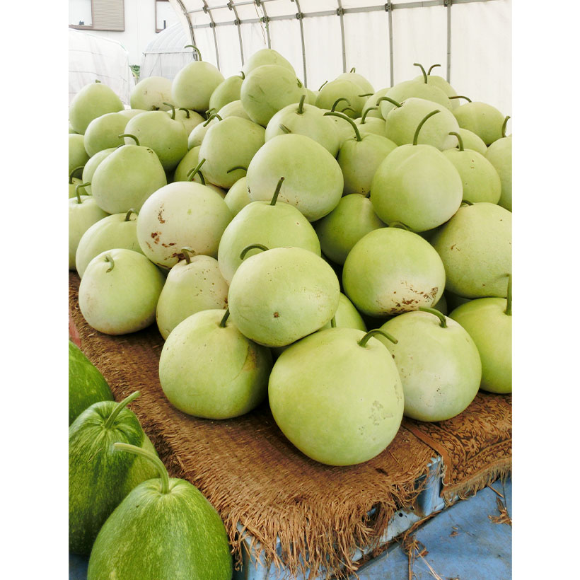 乾物・海産物・豆類特集：クローズアップ＝干瓢　栃木産減少で高値続く　中国産豊…