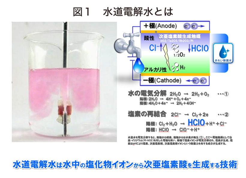 食品ニューテクノロジー研究会講演：TOTO 総合研究所・梅本歩所長