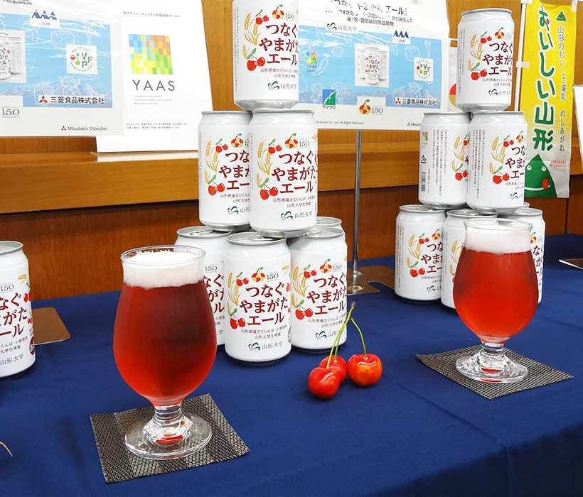 冬季東北流通特集：三菱食品とヤマザワなど3者　サクランボでビール共同開発