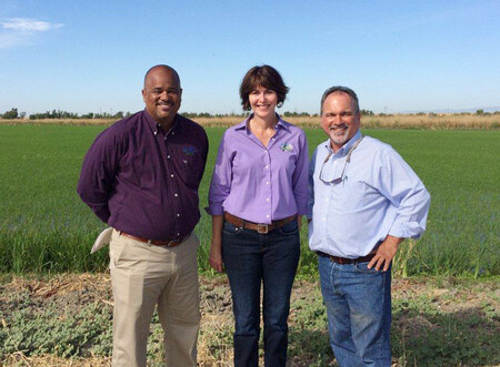 コメ輸出拡大も農家「複雑」＝日米合意半年、円安逆風【時事通信速報】