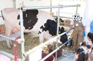 総合乳業特集2026