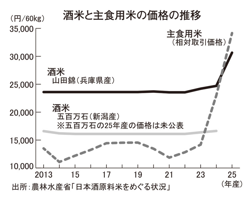 コメ不足、日本酒の生産に影響　原料高騰で仕込みに遅れも