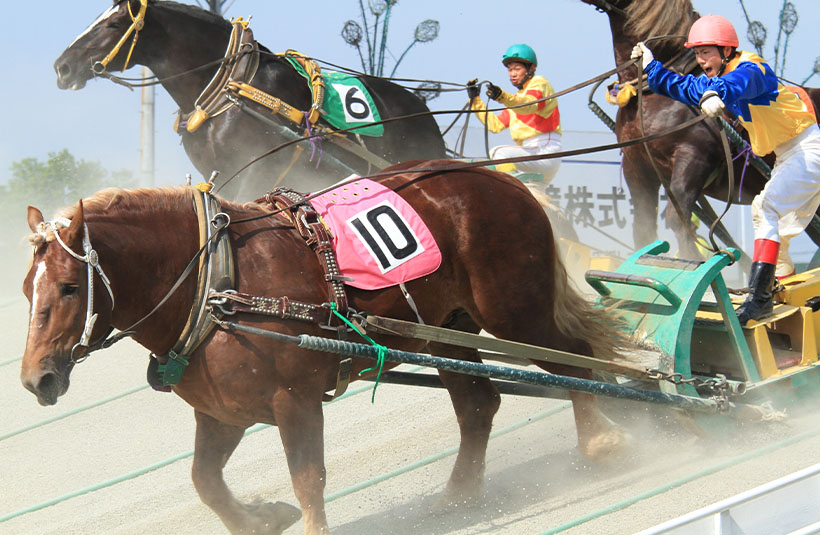 ◆北海道新春特集：馬力と躍動で閉塞感打破　製配販売上げ予測、前年並み以上8割&hellip;
