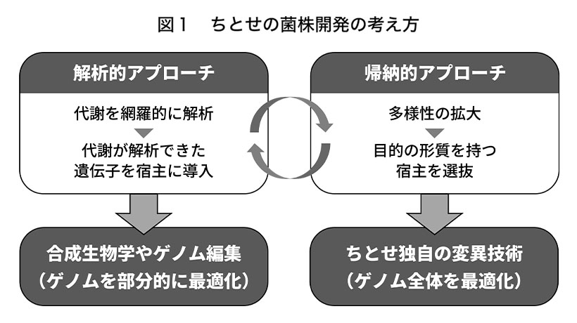 食品ニューテクノロジー研究会講演：ちとせ研究所バイオ生産本部・河合哲志本部長