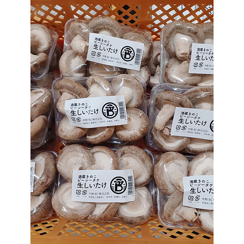 【速報】中野BC、菌床椎茸栽培事業を本格化　酒造りの菌管理技術生かす