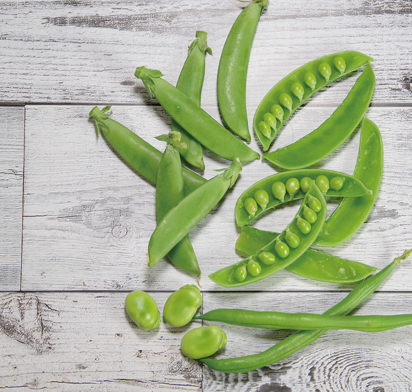 豆　春が来たから、緑のメニュー