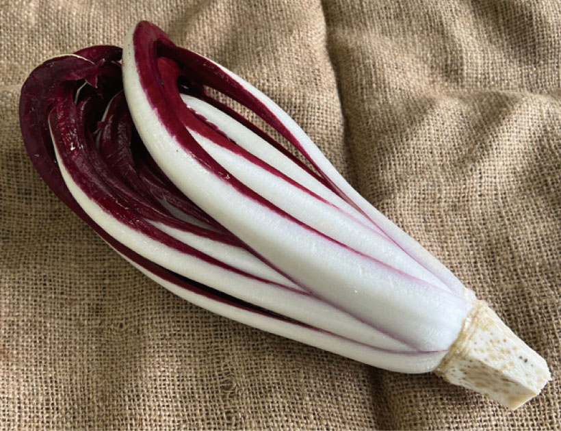 青果卸の旬奨野菜：2月　つま正代表取締役社長・小山正和氏