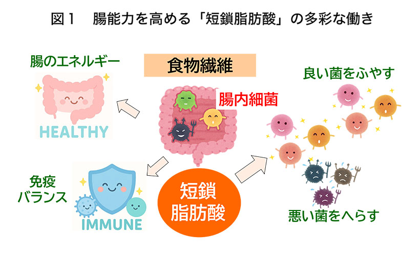 食品ニューテクノロジー研究会講演：国立研究開発法人医療基盤・健康・栄養研究所&hellip;