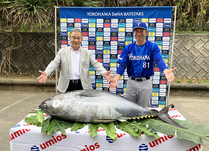 マルハニチロ、70kgのマグロ贈呈　ベイスターズキャンプ地に