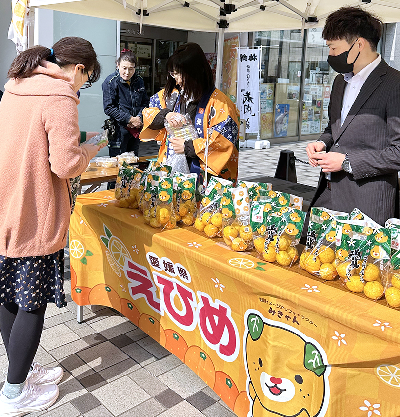 愛媛県大阪事務所、幻の柑橘「媛小春」PR