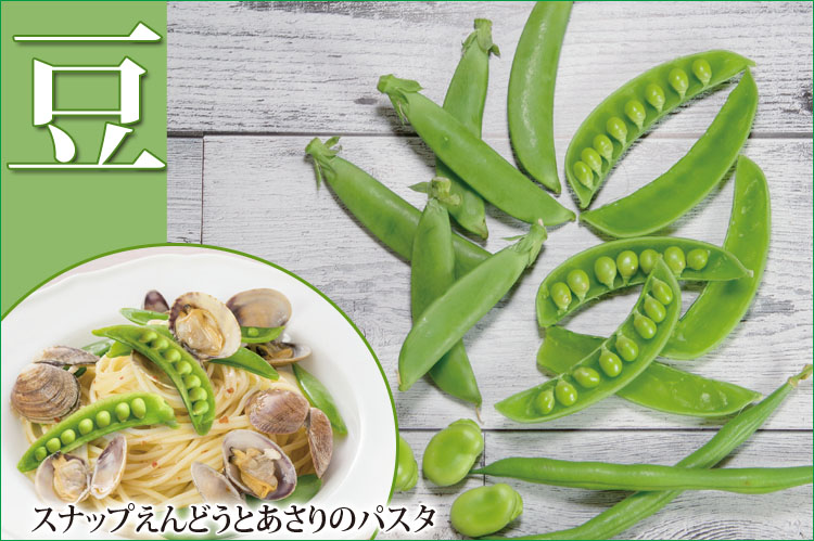 豆　春が来たから、緑のメニュー