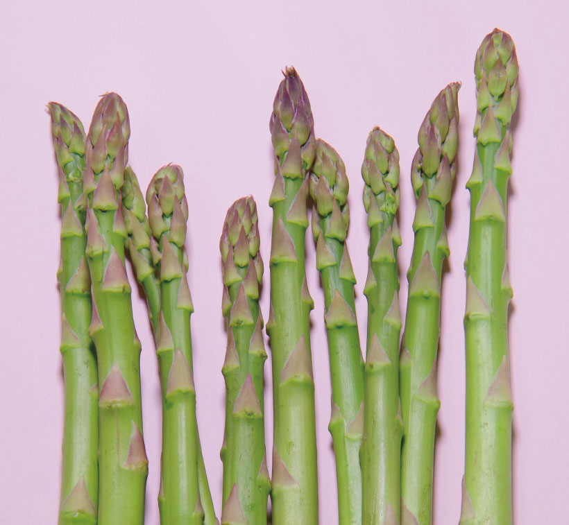 アスパラガス　若芽は早く下処理を