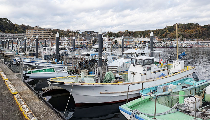 水産資源の持続可能な活用（11）地域産業としての水産業のこれから