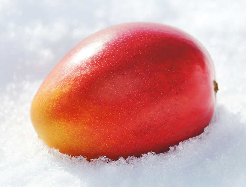 全国支社局ネットワーク特集：北海道発＝食絶景北海道×ゼロカーボンアワード　受&hellip;