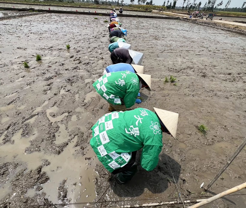 全国支社局ネットワーク特集：新潟発＝新潟大学、「iRICE」本格始動　速成育&hellip;