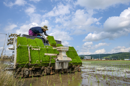 コメ「需要に応じた生産」を規定＝食糧法改正案を閣議決定、備蓄見直しも【時事通&hellip;
