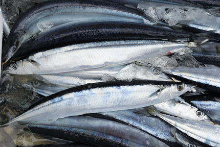 サンマ漁獲枠、５％削減で合意＝日本提案に中国反対―国際会議閉幕【時事通信速報&hellip;