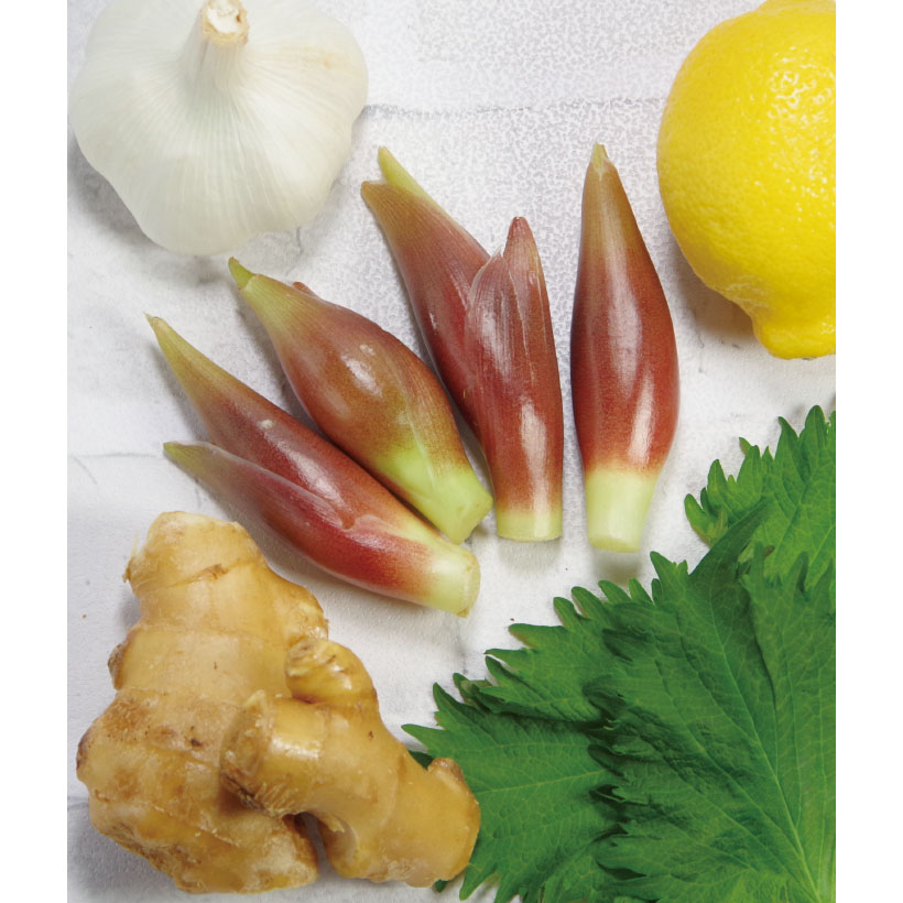 香りの応援団　みょうがはα-ピネンを大事に