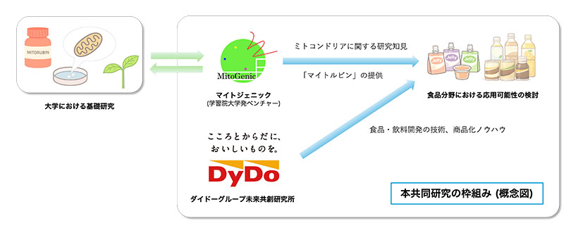 ダイドーグループ未来共創研究所ら　「マイトルビン」活用し食品開発