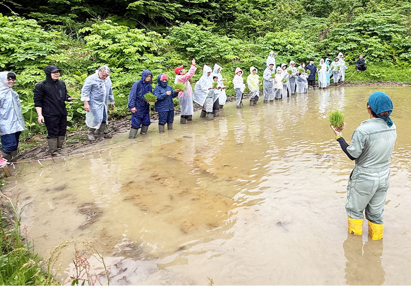 糖質最前線バランス食特集：ヤマタネ、氷見市らと棚田保全へ連携協定