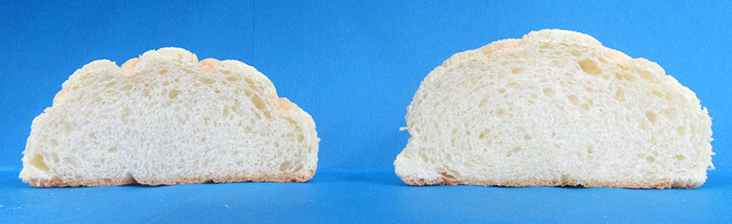 スイーツ＆ベーカリー特集：日油　ルテイン関連品を展開