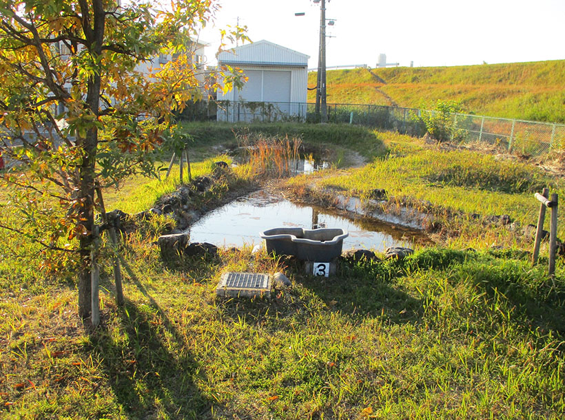 大日本印刷、「守山の杜」が自然共生サイト創出タイプに認定