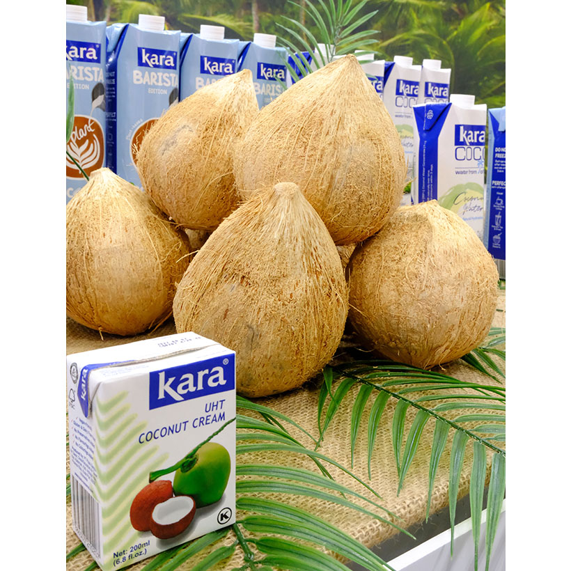 FABEX2026：明治フードマテリアら、インドネシア産ココナツミルクPR