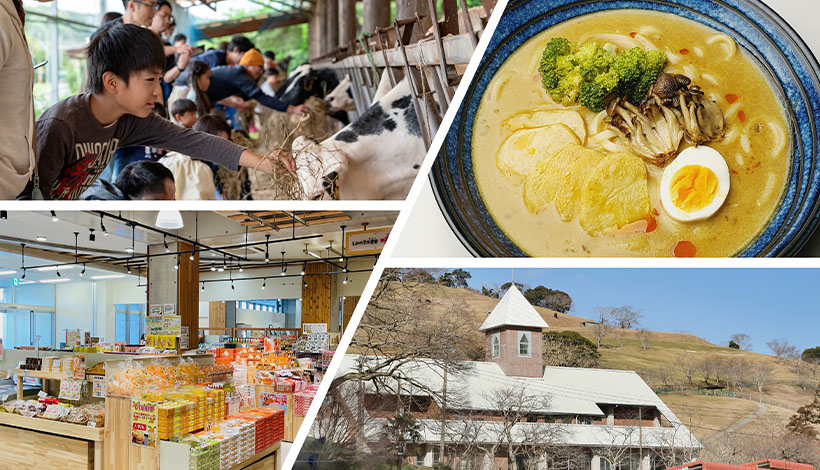 森永乳業、6月に南房総で酪農学ぶバスツアー実施