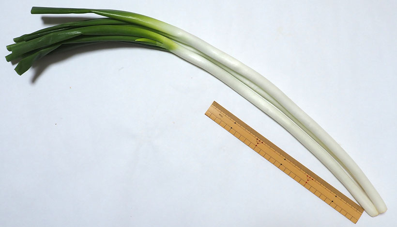 青果卸の旬奨野菜：5月　つま正代表取締役社長・小山正和氏