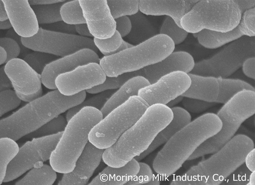 森永乳業、「ビフィズス菌M-63」が離乳期以降乳幼児の排便習慣を改善