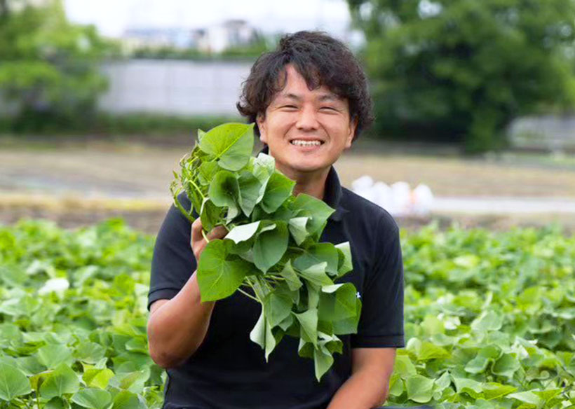 日本公庫・京都信金、オオサカポテトに融資　「夢シルク」増産へ