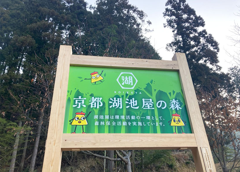 サステナビリティ特集：湖池屋　京都でも森林保全活動