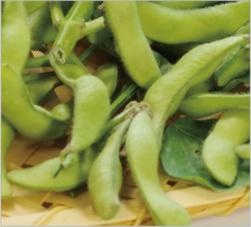 野菜果物で一皿のサプライズ：枝豆